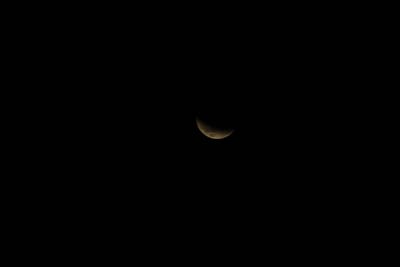 DSC_1316.JPG