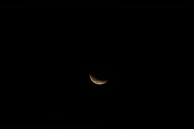 DSC_1317.JPG