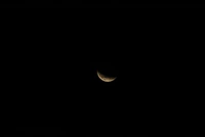 DSC_1318.JPG