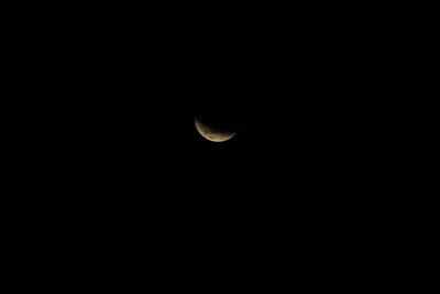DSC_1319.JPG