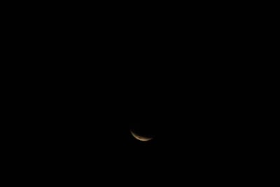 DSC_1327.JPG