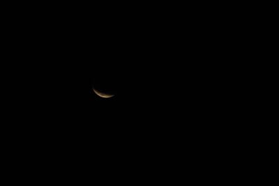 DSC_1329.JPG