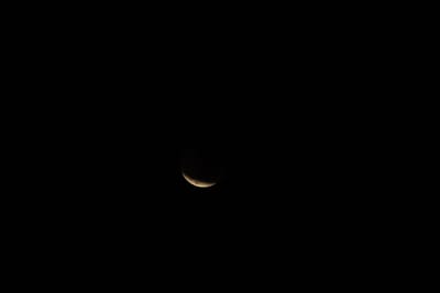 DSC_1331.JPG