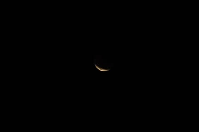 DSC_1332.JPG