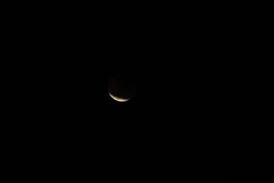 DSC_1336.JPG