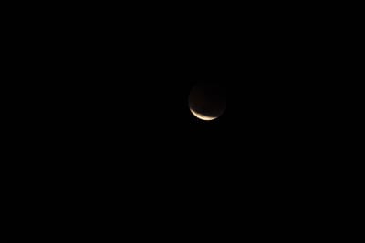 DSC_1337.JPG