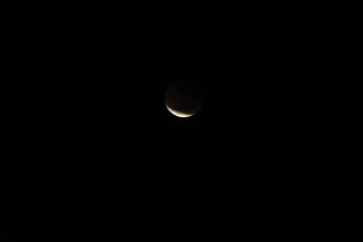 DSC_1338.JPG