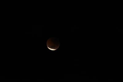 DSC_1341.JPG