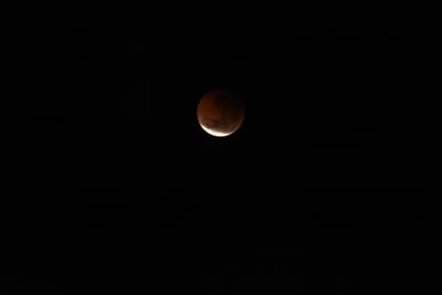 DSC_1344.JPG