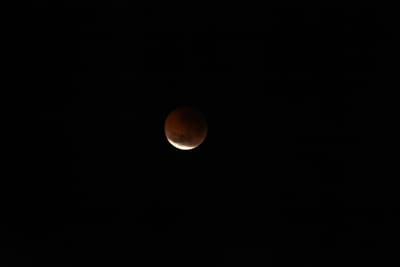 DSC_1345.JPG