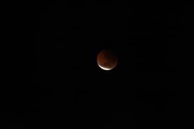 DSC_1346.JPG