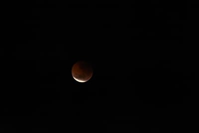 DSC_1347.JPG