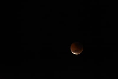 DSC_1348.JPG