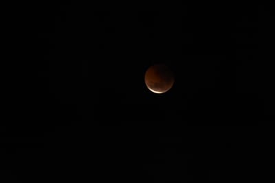 DSC_1349.JPG