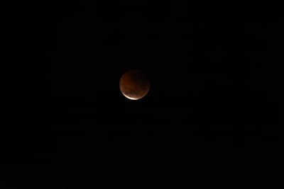 DSC_1350.JPG