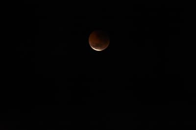 DSC_1351.JPG