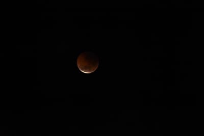 DSC_1352.JPG