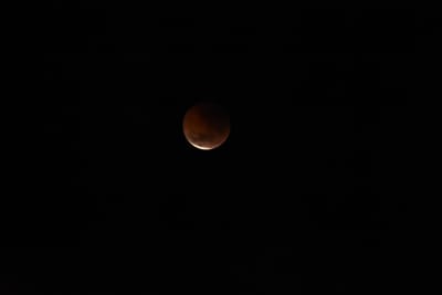DSC_1353.JPG