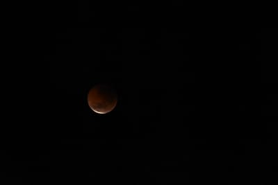 DSC_1354.JPG