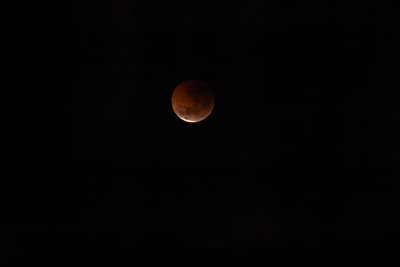 DSC_1356.JPG