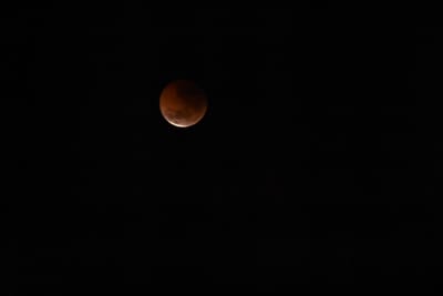 DSC_1357.JPG