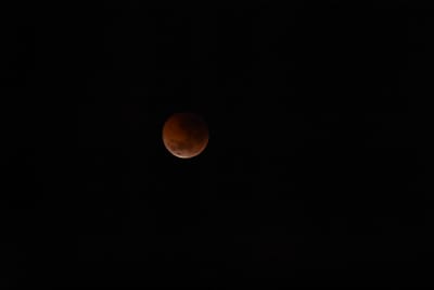 DSC_1361.JPG