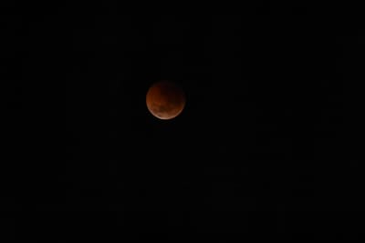 DSC_1363.JPG