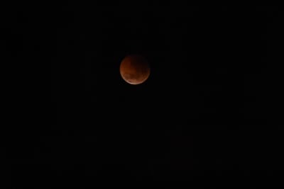 DSC_1364.JPG