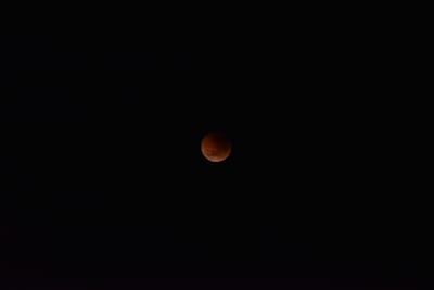 DSC_5520.JPG