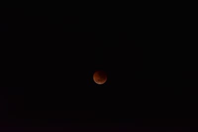 DSC_5521.JPG
