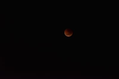 DSC_5522.JPG