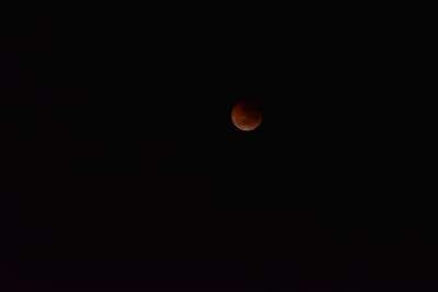 DSC_5523.JPG