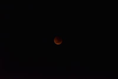 DSC_5525.JPG