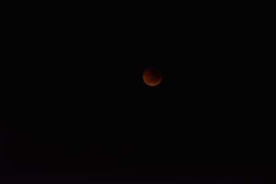 DSC_5526.JPG