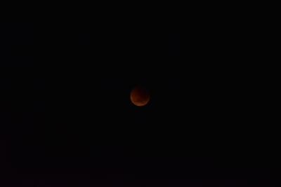 DSC_5529.JPG