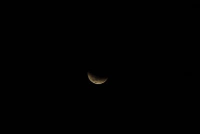 DSC_1313.JPG