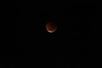 DSC_1355.JPG