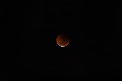 DSC_1362.JPG