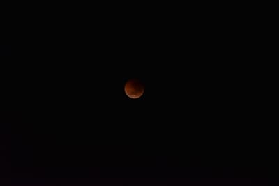 DSC_5524.JPG