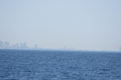 DSC_1130.JPG