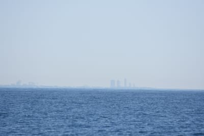 DSC_1131.JPG