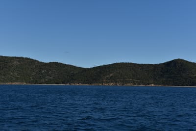 DSC_6224.JPG