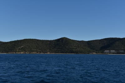 DSC_6225.JPG