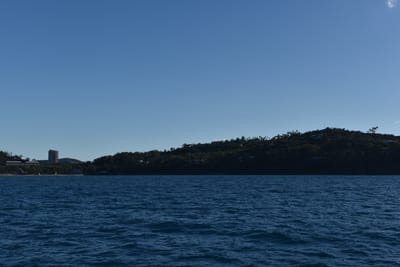 DSC_6229.JPG