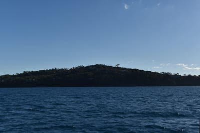 DSC_6230.JPG