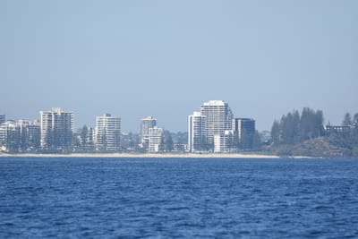 DSC_1110.JPG