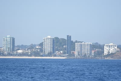 DSC_1114.JPG