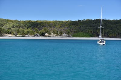 DSC_5883.JPG