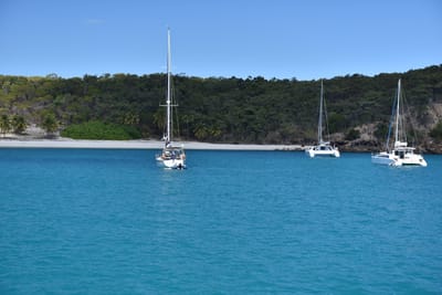 DSC_5884.JPG