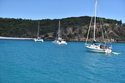 DSC_5885.JPG